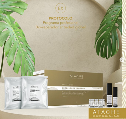 PROGRAMA DE EXCELÊNCIA Programa global de bio-reparação anti-envelhecimento.